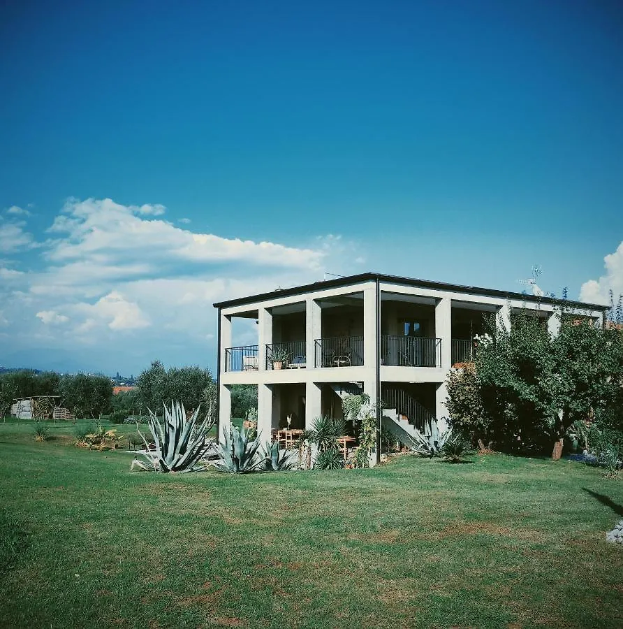 Bed & Breakfast Il Pajo contacts