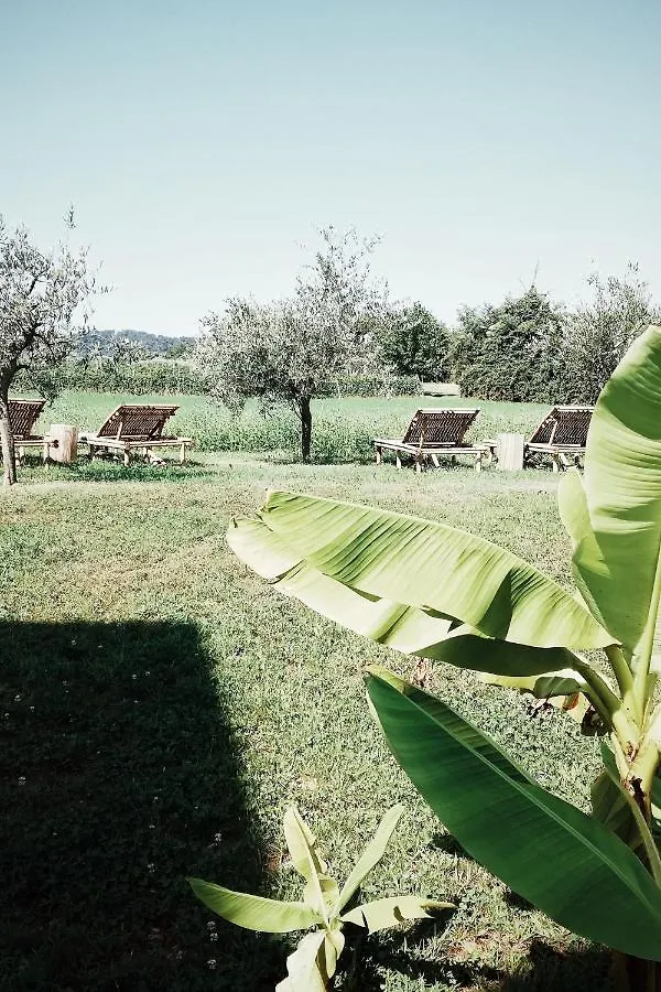 Bed & Breakfast Il Pajo Padenghe sul Garda